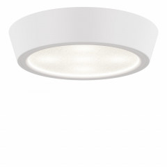 Накладной светильник Lightstar 214704