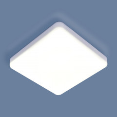 Накладной светильник Elektrostandard DLS043 10W 4200K