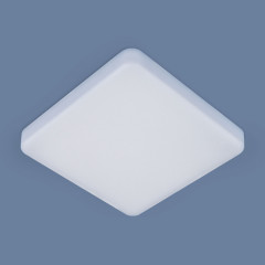 Накладной светильник Elektrostandard DLS043 10W 4200K