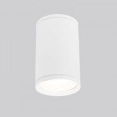Накладной уличный светильник Elektrostandard Light 2101 (35128/H) белый