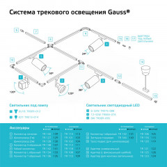 Светильник на шине Gauss TR088