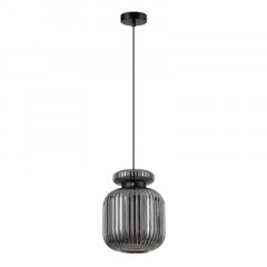 Подвесной светильник Odeon Light 5042/1B