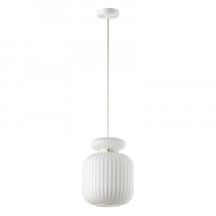 Подвесной светильник Odeon Light 5042/1C