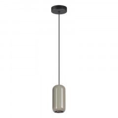 Подвесной светильник Odeon Light 5053/1D