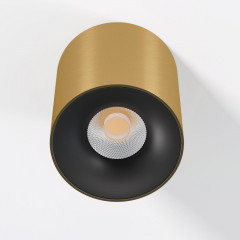 Накладной светильник Elektrostandard 25116/LED 12W 3000K латунь