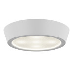 Уличный светильник Lightstar 214902