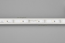 Лента Arlight 030892