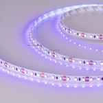 Лента Arlight 012812(2)