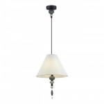Подвесной светильник Odeon Light 4896/1