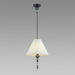 Подвесной светильник Odeon Light 4896/1