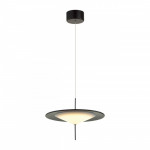 Подвесной светильник Odeon Light 5012/16L