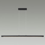 Подвесной светильник Odeon Light 6643/45L