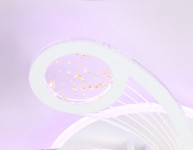 Накладной светильник Ambrella Light FA4476
