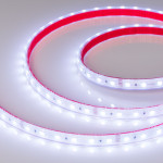 Лента Arlight 024587(2)