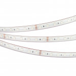 Лента Arlight 024587(2)