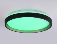 Накладной светильник Ambrella Light FZ610