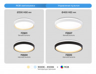 Накладной светильник Ambrella Light FZ610
