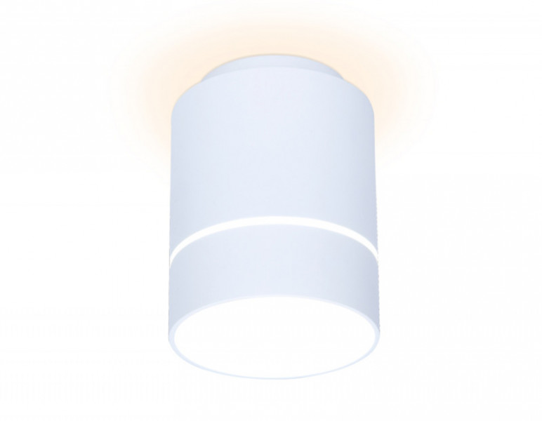 Накладной светильник Ambrella Light TN255