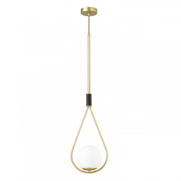 Подвесной светильник Odeon Light 4810/1