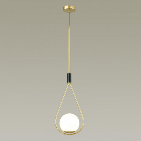 Подвесной светильник Odeon Light 4810/1