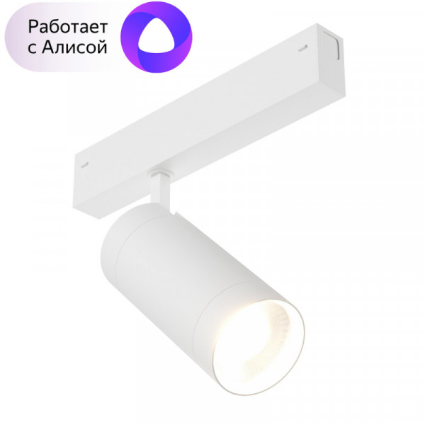 Трековый светильник Denkirs DK8020-WH