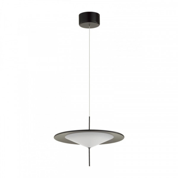 Подвесной светильник Odeon Light 5012/16L