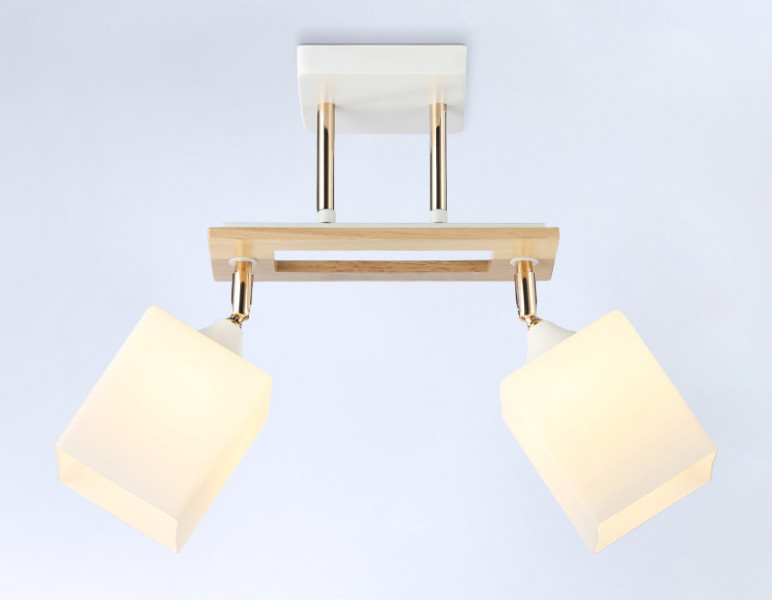 Накладной светильник Ambrella Light TR9501