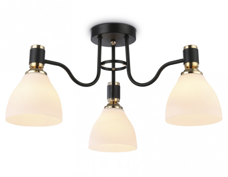 Накладной светильник Ambrella Light TR303303