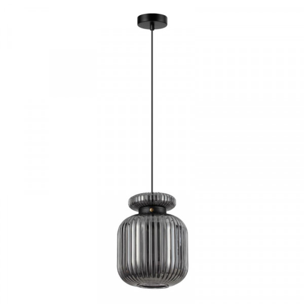 Подвесной светильник Odeon Light 5042/1B