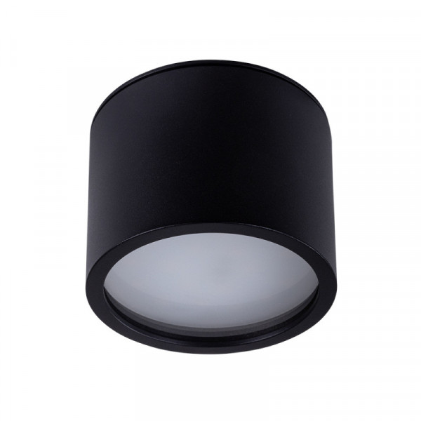 Влагозащищенный светильник ARTE Lamp A5543PL-1BK